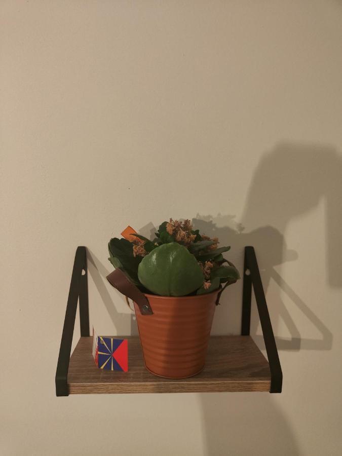 Tres Grand Appartement De 76M2 A ストラスブール エクステリア 写真