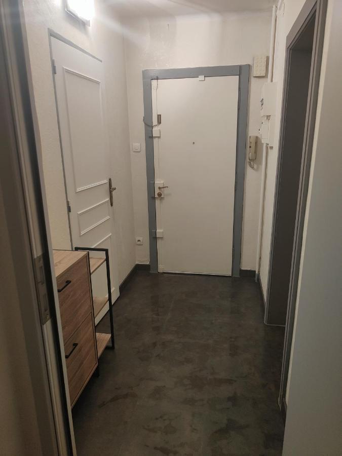 Tres Grand Appartement De 76M2 A ストラスブール エクステリア 写真