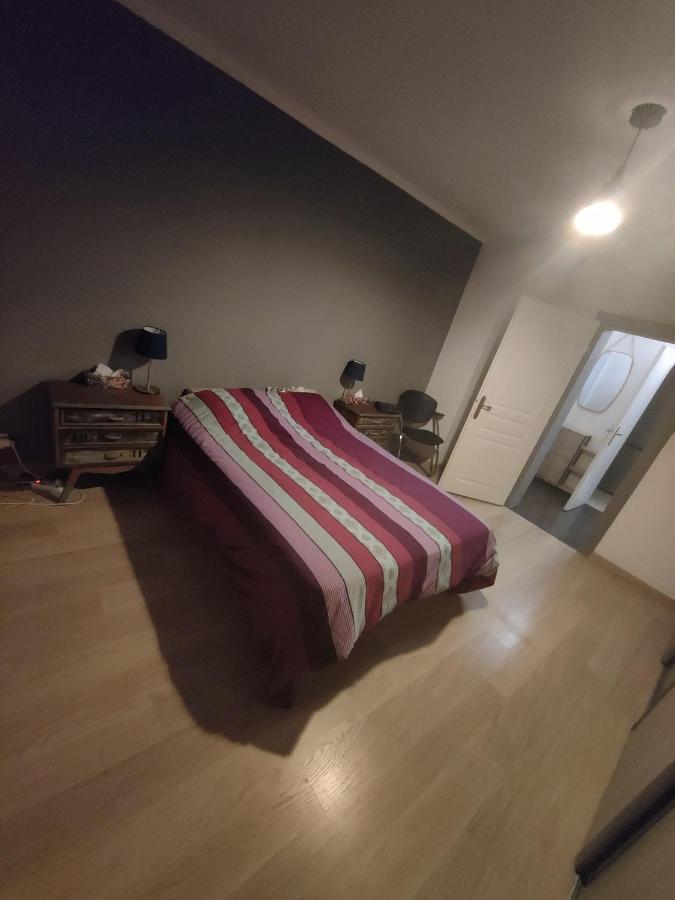 Tres Grand Appartement De 76M2 A ストラスブール エクステリア 写真