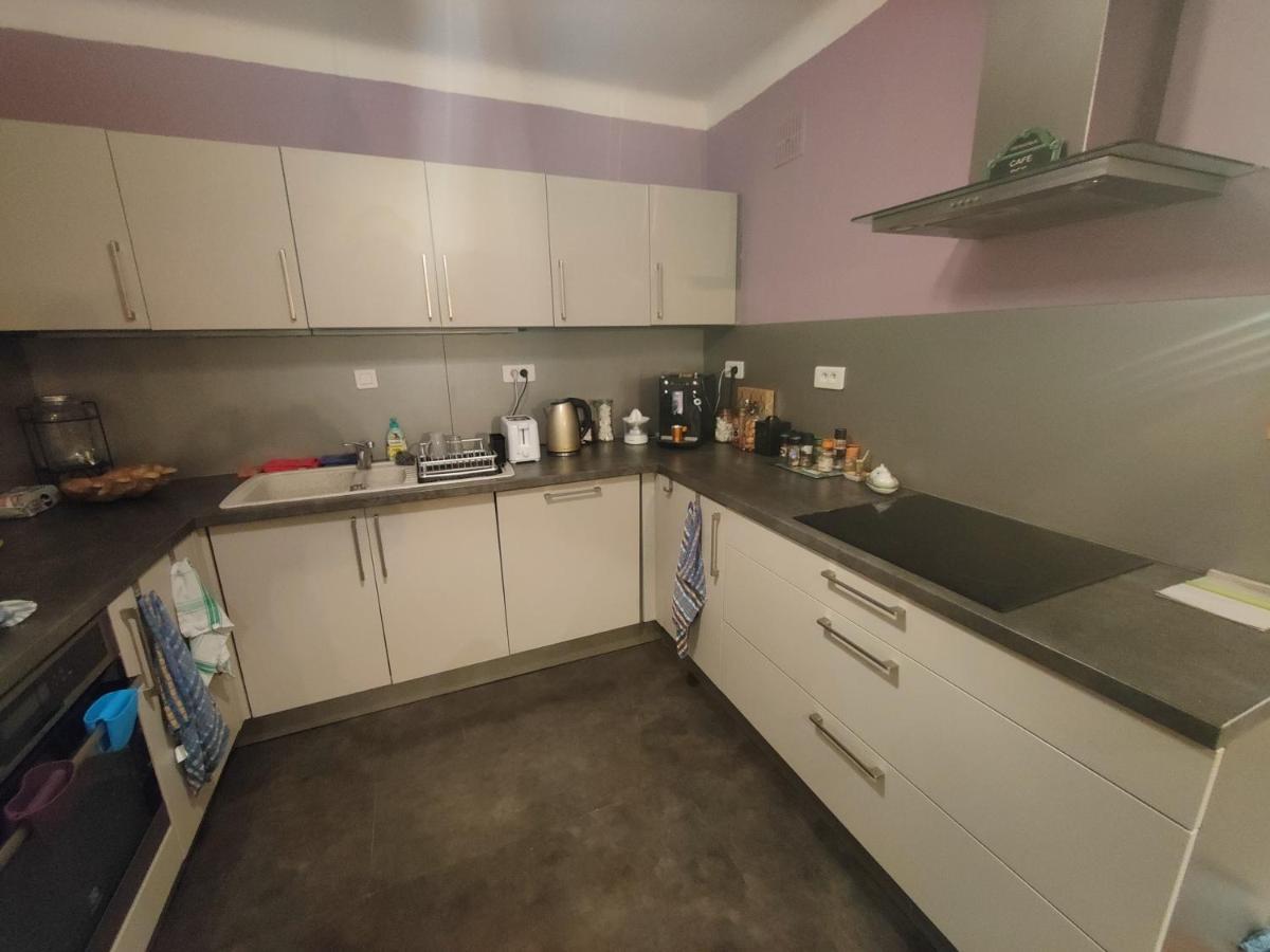 Tres Grand Appartement De 76M2 A ストラスブール エクステリア 写真