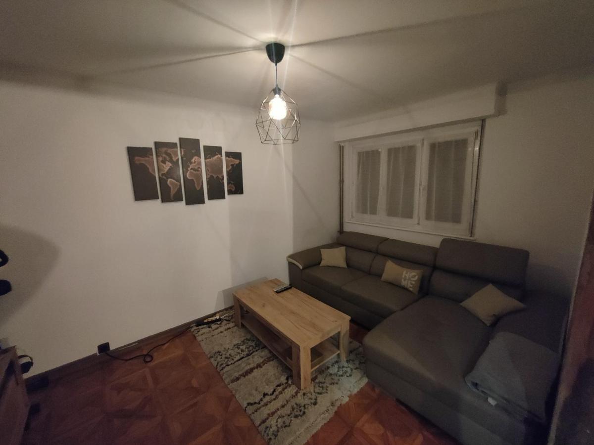 Tres Grand Appartement De 76M2 A ストラスブール エクステリア 写真