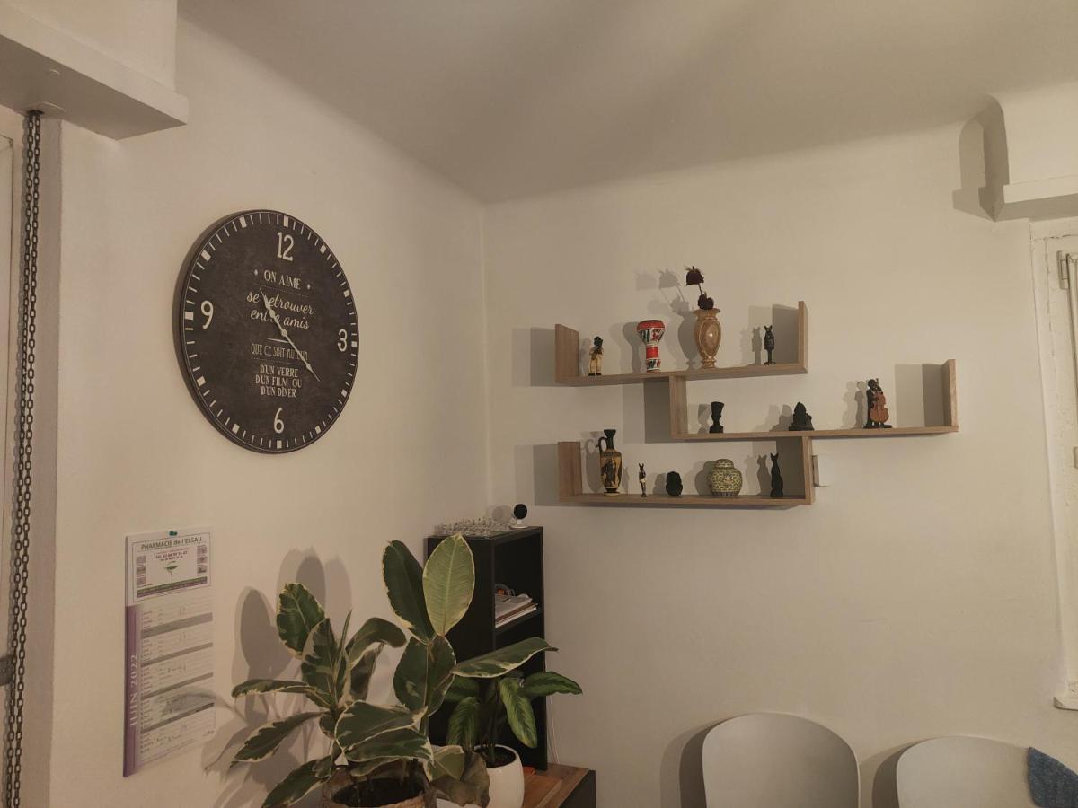 Tres Grand Appartement De 76M2 A ストラスブール エクステリア 写真