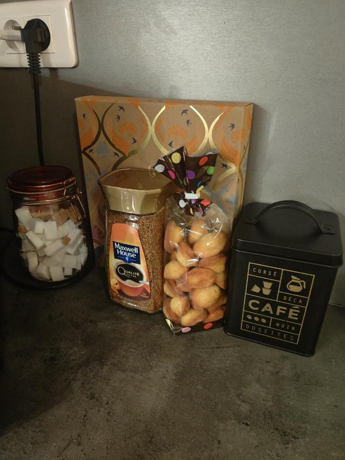 Tres Grand Appartement De 76M2 A ストラスブール エクステリア 写真