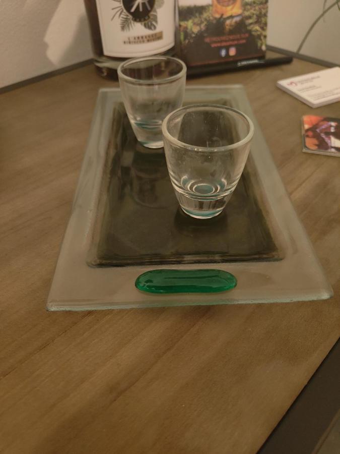 Tres Grand Appartement De 76M2 A ストラスブール エクステリア 写真