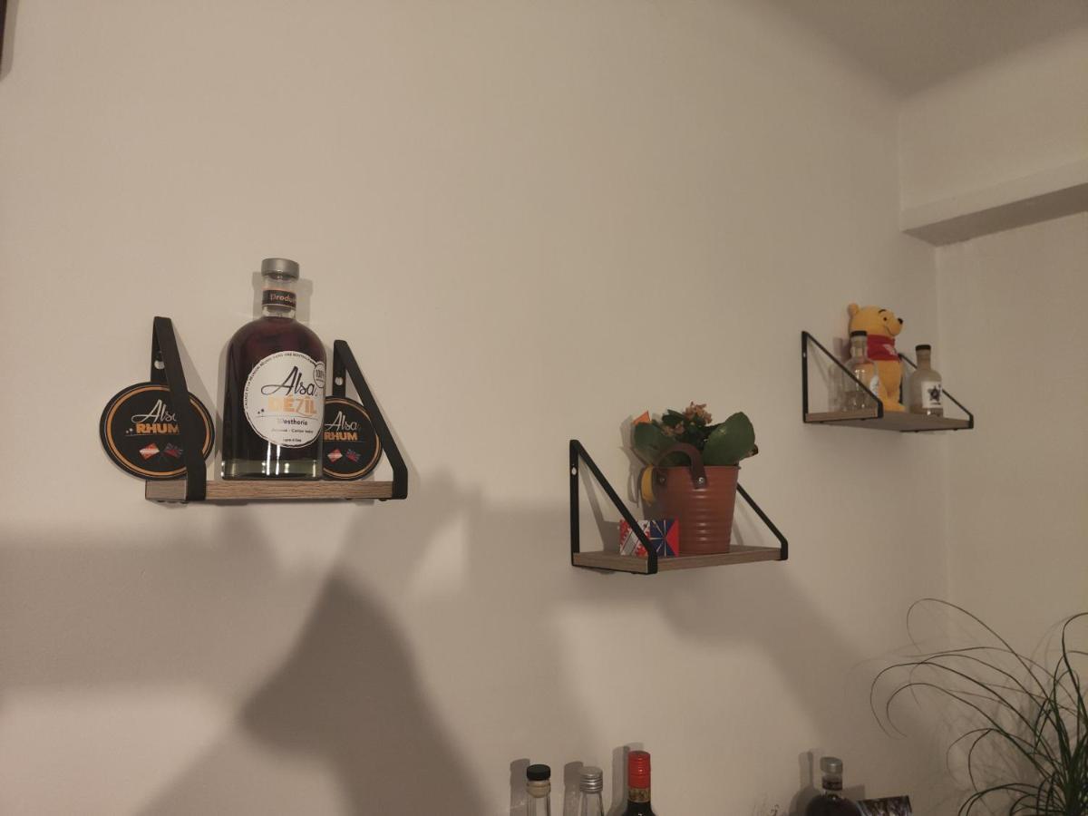 Tres Grand Appartement De 76M2 A ストラスブール エクステリア 写真